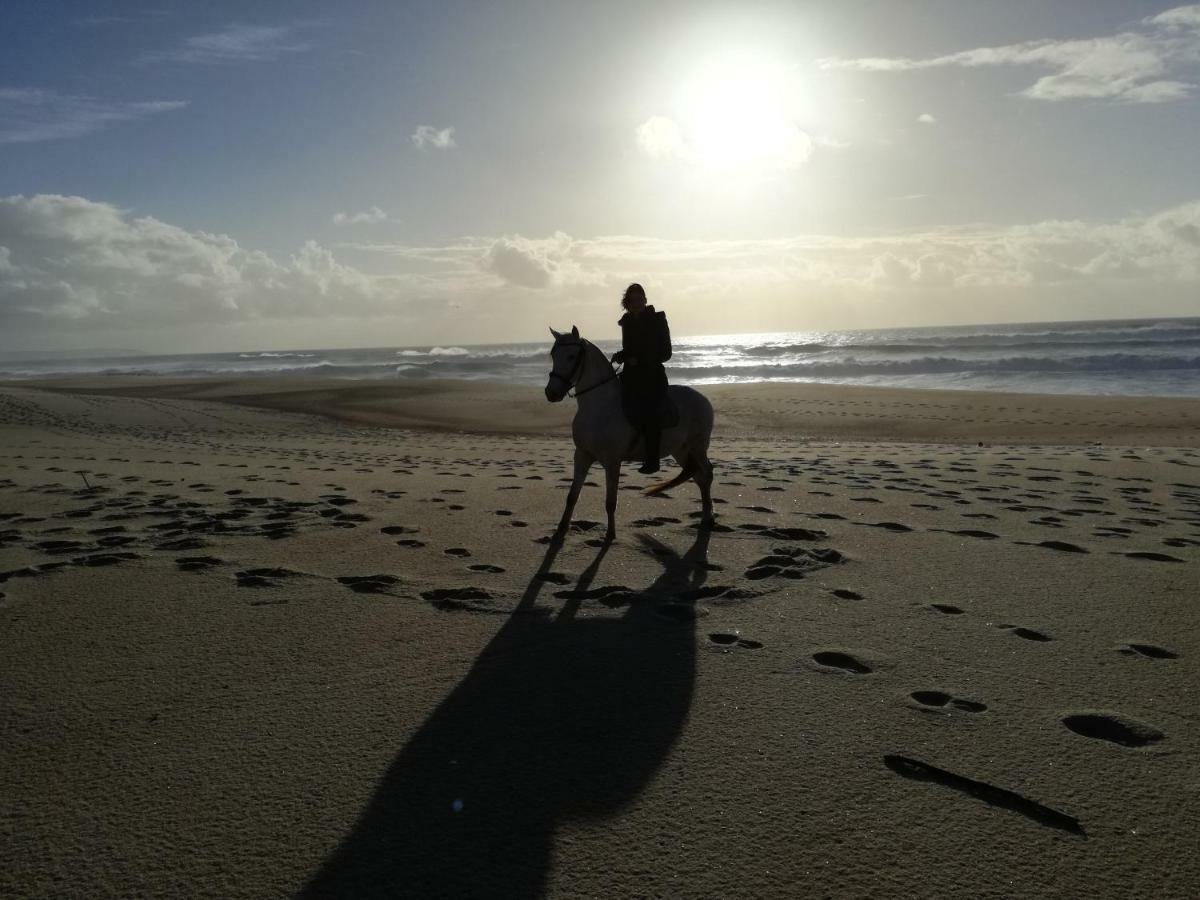 Casa Da Paraventa Gaeiras Buitenkant foto